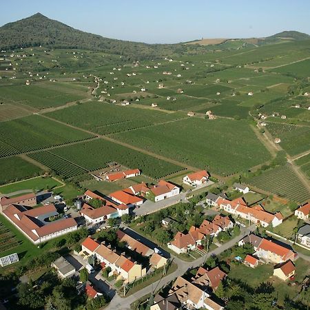 Tiffan'S Pinceszet Es Panzio Ξενοδοχείο Villány Δωμάτιο φωτογραφία