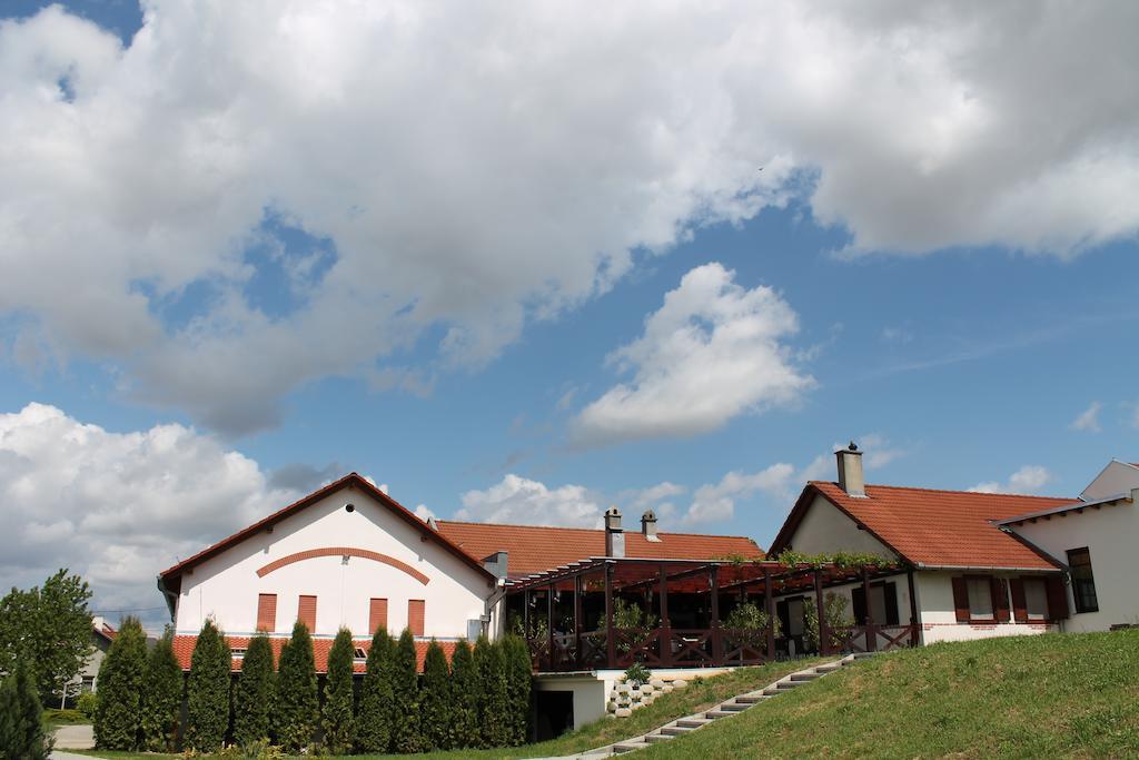 Tiffan'S Pinceszet Es Panzio Ξενοδοχείο Villány Εξωτερικό φωτογραφία
