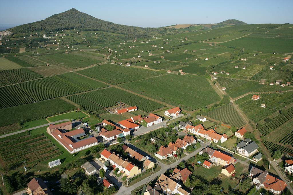 Tiffan'S Pinceszet Es Panzio Ξενοδοχείο Villány Δωμάτιο φωτογραφία