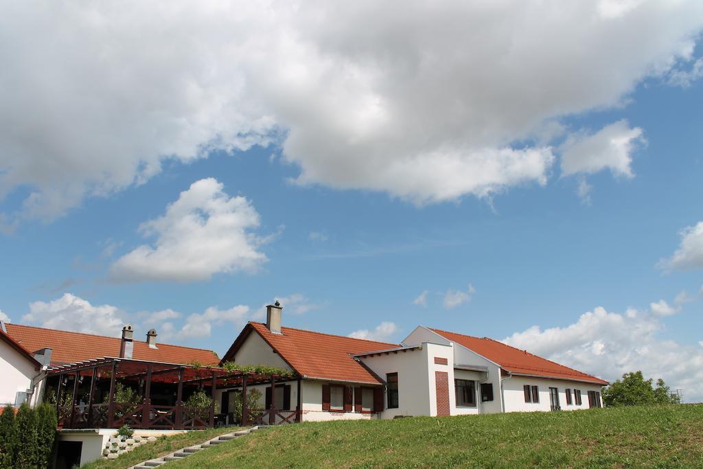 Tiffan'S Pinceszet Es Panzio Ξενοδοχείο Villány Εξωτερικό φωτογραφία